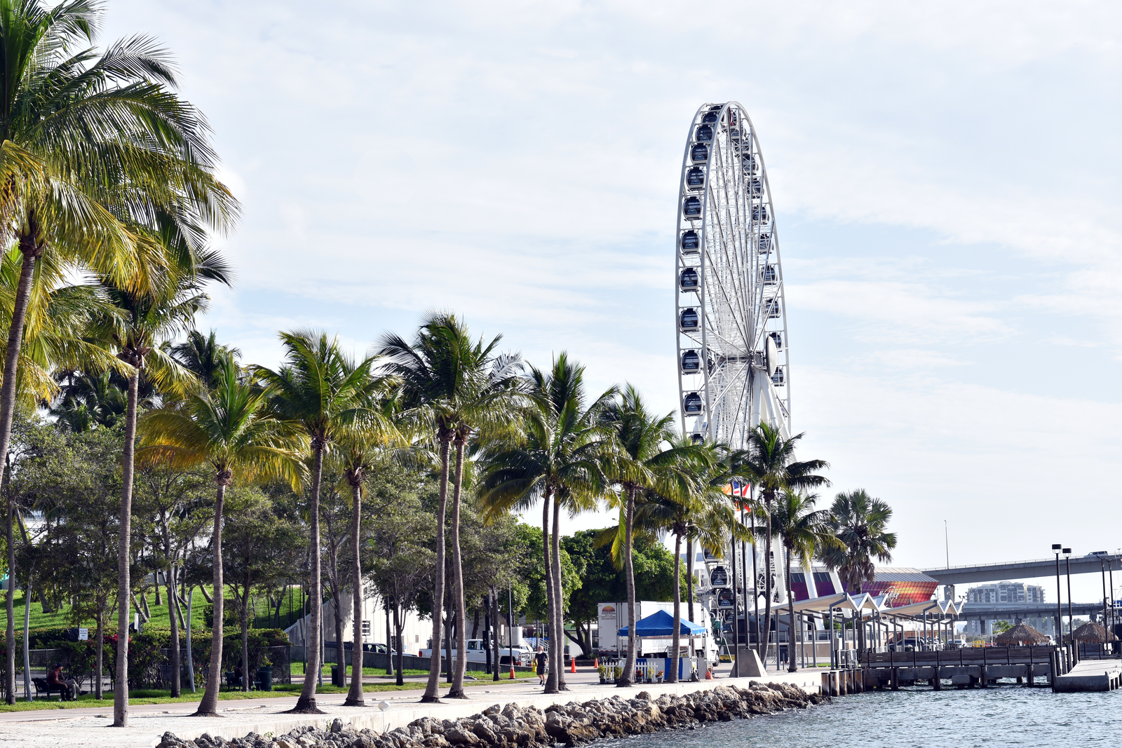A view near Clearwater, Florida